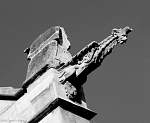 P1000243 gargoyle.JPG
